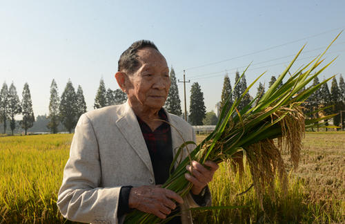 袁隆平病危之际还在关心稻子长势 三天痛失四位国之栋梁