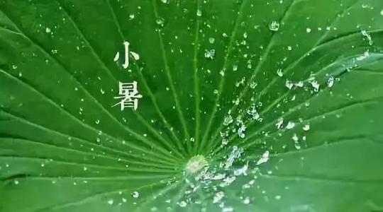 小暑下雨意味着什么 小暑下雨有什么说法 小暑下雨倒黄梅