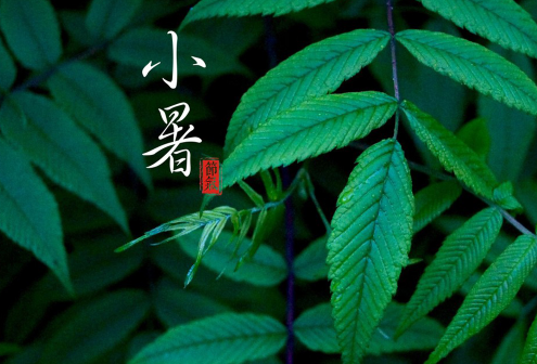 小暑大暑处暑哪个最热 小暑大暑处暑是什么意思