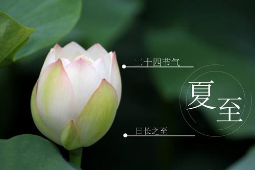 夏至节气文案 夏至的句子短句唯美 夏至的唯美句子