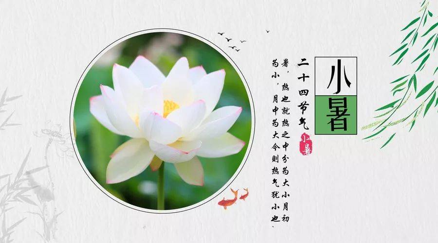 小暑节气祝福短信 小暑祝福语简短