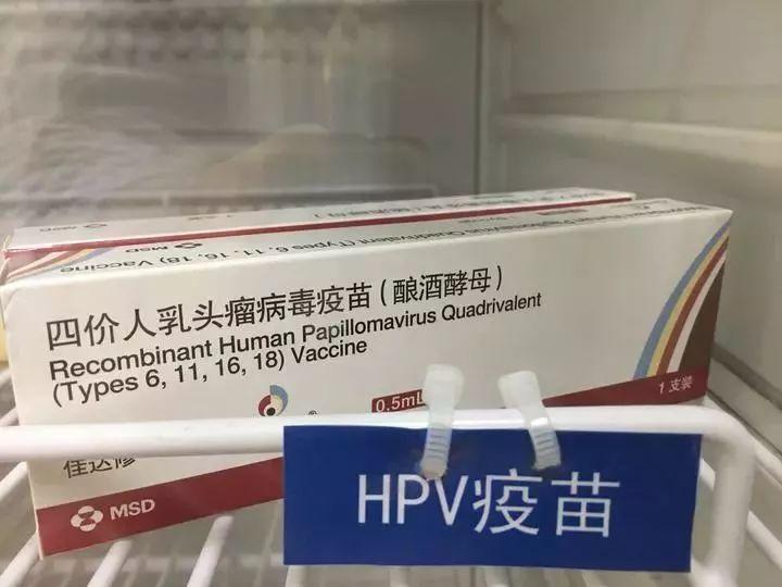 建议免费为中学女生接种HPV疫苗 hpv疫苗学校有安排打吗