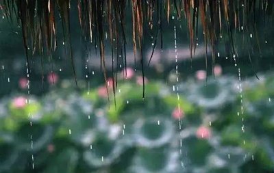 梅雨季节怎么防霉 梅雨季节会发霉吗