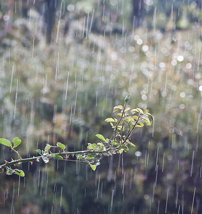 梅雨季节家里潮湿怎么办 梅雨季节怎么除湿防潮