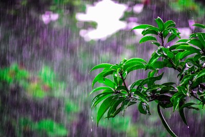 梅雨季节家里潮湿怎么办 梅雨季节怎么除湿防潮