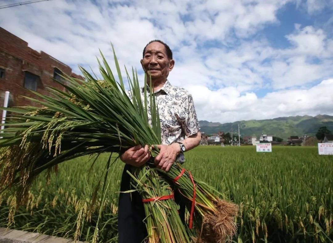 今日芒种格外想念他 芒种格外想念他 二十四节气芒种