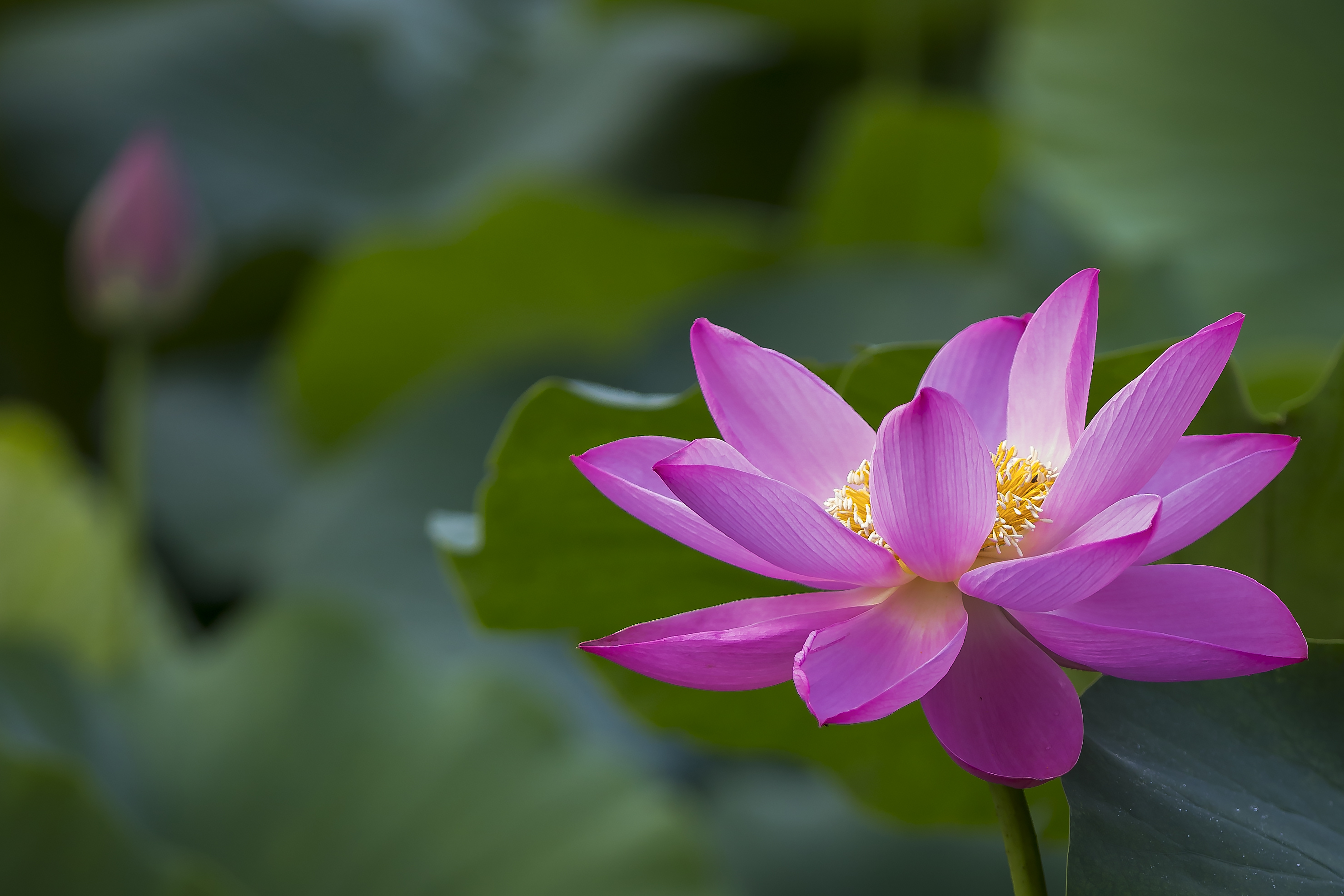 夏至能去理发吗 夏至理发可以吗