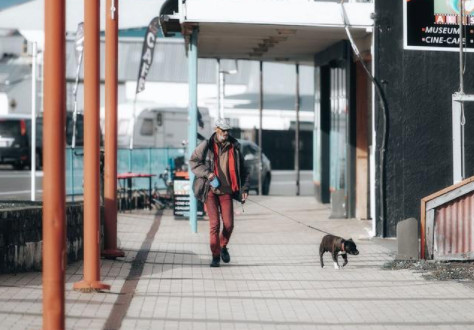 不牵狗绳遛狗犯法吗 不牵绳遛狗是属于违法行为吗 不牵狗绳遛狗怎么处理