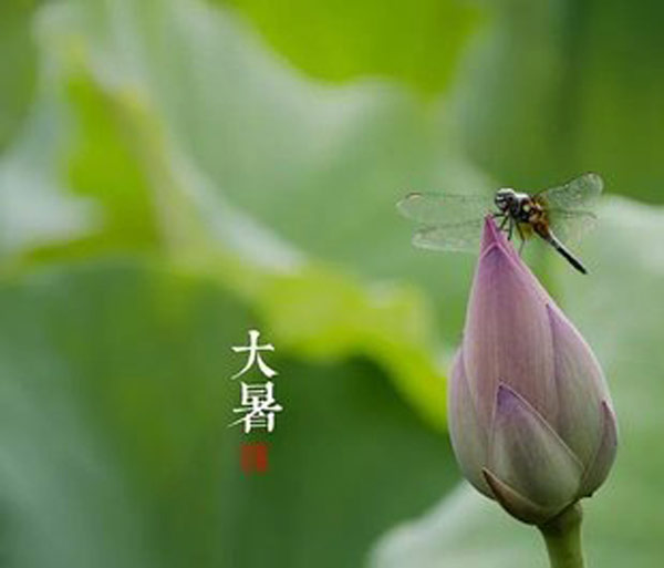 大暑需要什么防晒 大暑怎么防晒