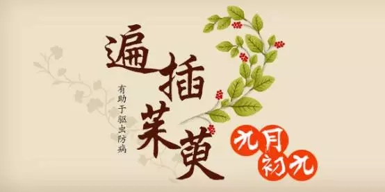 重阳节慰问老人横幅标语 送温暖活动横幅标语