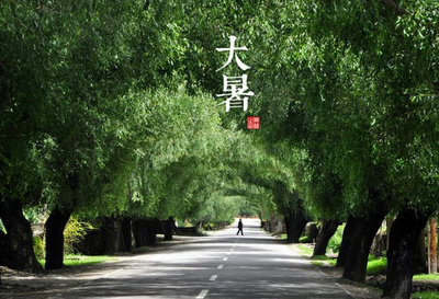 大暑是最热的时候吗 大暑节气最热吗