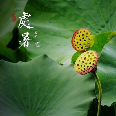 处暑是什么意思 处暑是什么节日节气