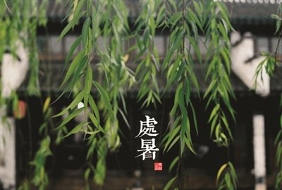 处暑节气可以上坟吗 处暑上坟好不好