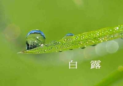 白露节气的由来和风俗 白露的来历是什么