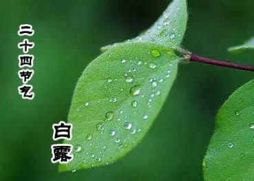 白露节气能走亲戚吗 白露可以走亲访友吗