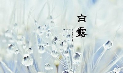 白露节气有什么特征 白露节气的特点是什么