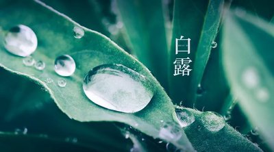 白露节气不能做什么 白露节气的禁忌