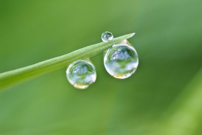 白露节气要下雨吗 白露节气下雨好还是晴天好