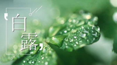 白露节气下雨有什么说法 白露节气下雨好不好