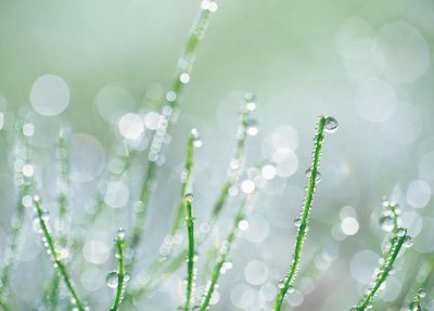 白露节气下雨有什么说法 白露节气下雨好不好