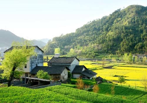 农村宅基地的最新政策是什么 现在农村宅基地的政策是什么样 有关农村宅基地最新政策