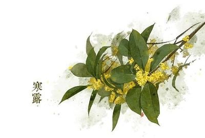 寒露节气气候特点 寒露节气的特点和风俗