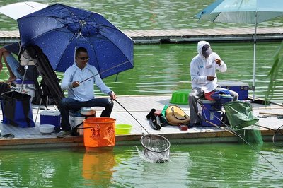 夏天钓鱼的技巧和方法 夏天钓鱼的最佳时间及方法