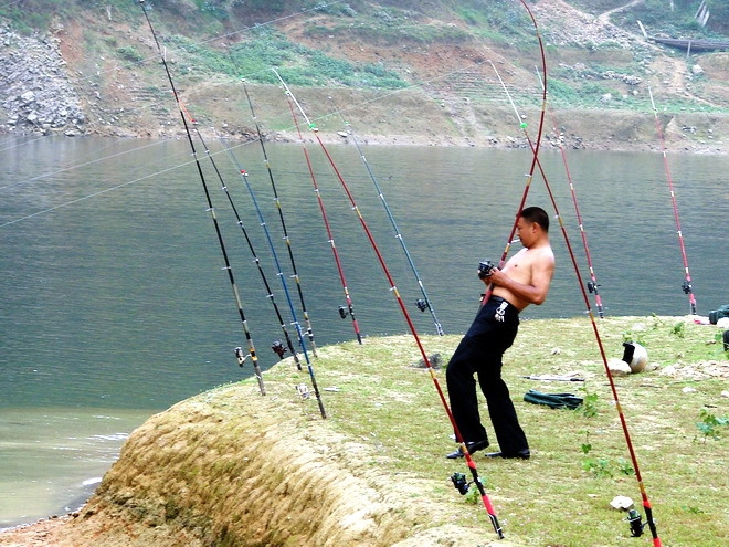 天气热钓鱼钓深还是钓浅 天气热钓鱼应该在什么位置