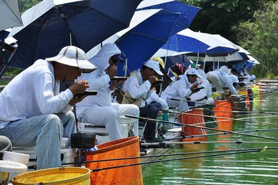 天气热钓鱼钓深还是钓浅 天气热钓鱼应该在什么位置