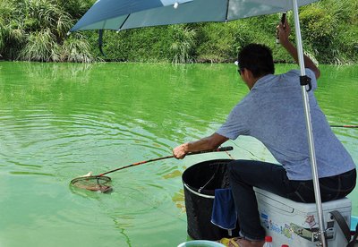 夏天高温可以钓鱼吗 夏天好钓鱼吗