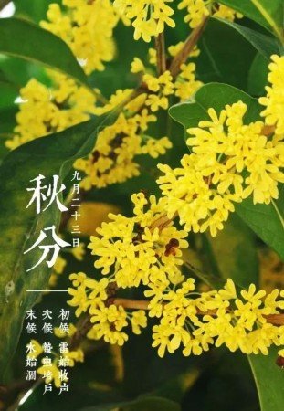 秋分节气的特点是什么 秋分节气的气候特点