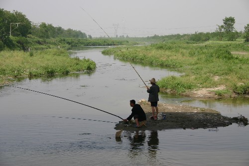 夏天中午可以钓鱼吗 夏天什么时候钓鱼最好钓