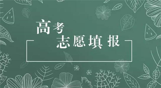 高考志愿填报最全知识点 高考志愿填报技巧与指南2021