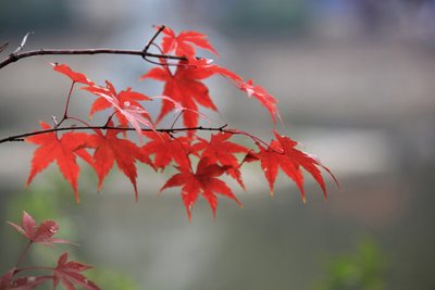 立秋节气热不热 立秋天气会凉快点吗