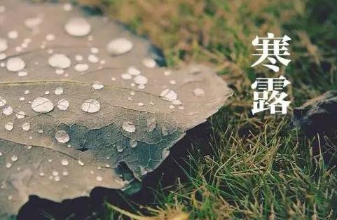 寒露下雨好不好 寒露下雨有什么说法