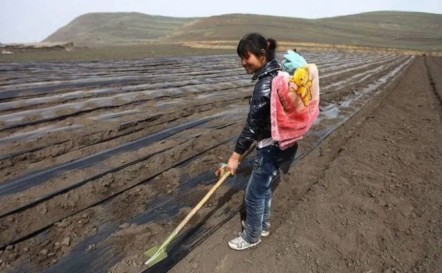 2021年粮食直补发放时间 2021年粮食直补钱什么时候下来 2021年粮食直补啥时候发放