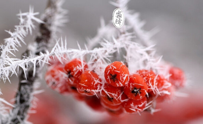 霜降节气是第几个节气 霜降节气是秋天吗