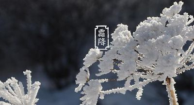 霜降是什么季节 霜降是冬天还是秋天