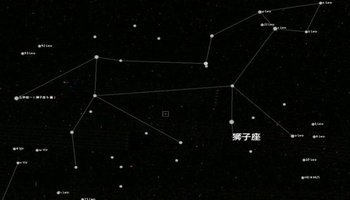 哪个星座能虐死狮子男 降得住狮子男的女人