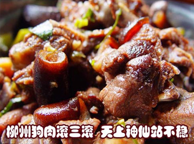 六月六吃狗肉有什么说法 六月六为什么要吃狗肉