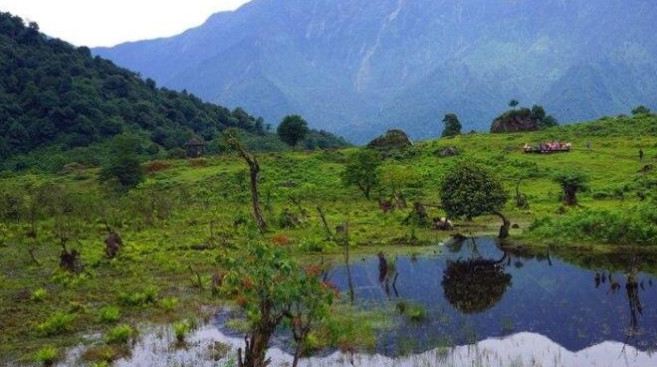 四川黑竹沟的未解之谜 四川黑竹沟灵异事件 四川黑竹沟里面消失的人