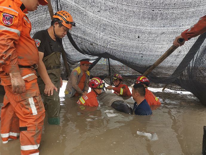 3头搁浅死亡瓜头鲸已被冷冻保存 9头搁浅瓜头鲸已被救起