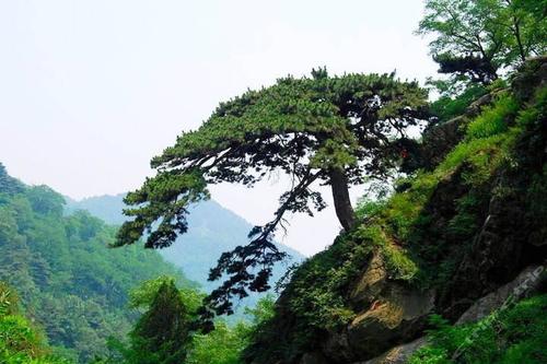 泰山下面压的谁 泰山底下是否压着地狱