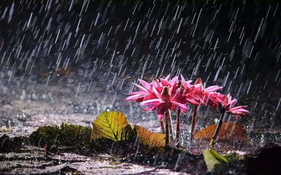 梅雨在我国什么地区 梅雨在哪个地区