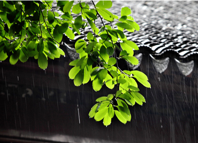 梅雨季节不能吃西瓜吗 梅雨季节吃西瓜好吗