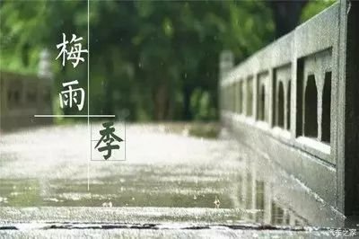 梅雨季节不能吃西瓜吗 梅雨季节吃西瓜好吗