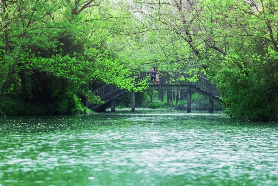 梅雨季节祛湿气吃什么食物 梅雨季节吃什么除湿