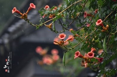 梅雨季节2021什么时间入梅 梅雨季节是几月份到几月份结束