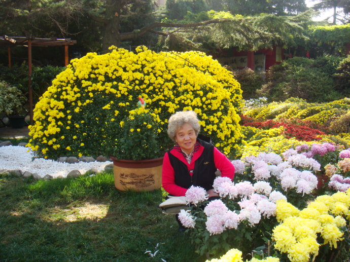 重阳节和中秋节哪个先过 重阳节是几月几号