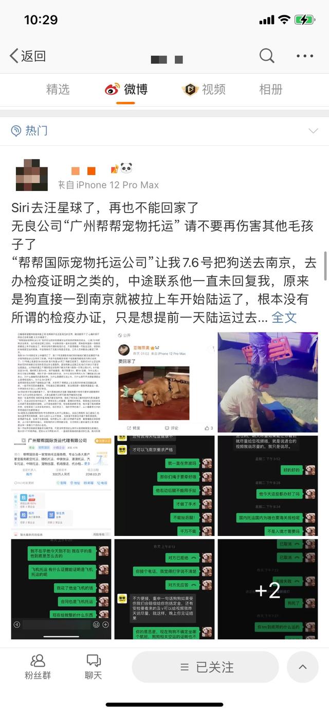 siri金毛托运事件 金毛siri什么意思